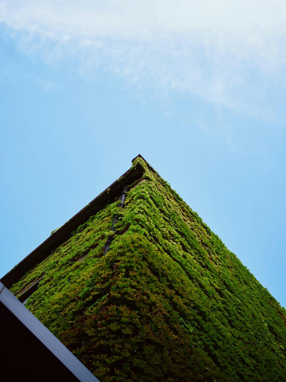 Green Building Design